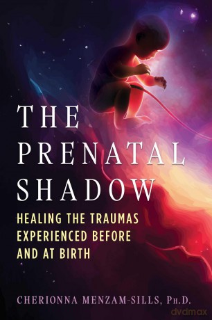 The Prenatal Shadow: Healing the Traumas Experienced before and at Birth - Cherionna Menzam-Sills [KSIĄŻKA]