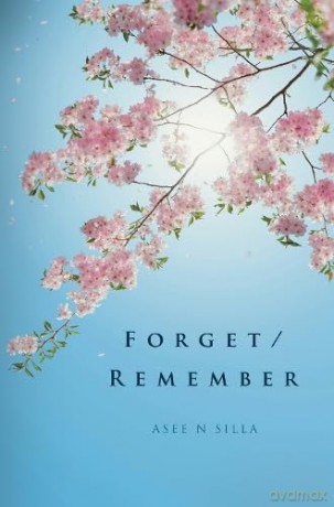 Forget/Remember - Asee N Silla [KSIĄŻKA]