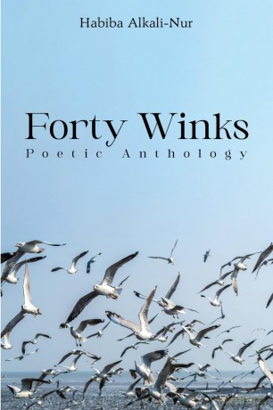 Forty Winks: Poetic Anthology - Habiba Alkali-Nur [KSIĄŻKA]