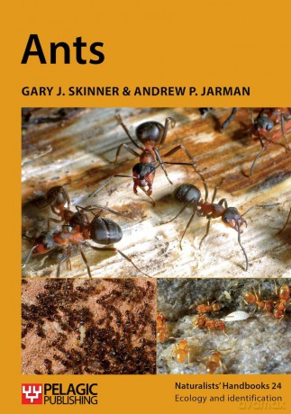Ants (Naturalists' Handbooks 24) - Gary J. Skinner [KSIĄŻKA]