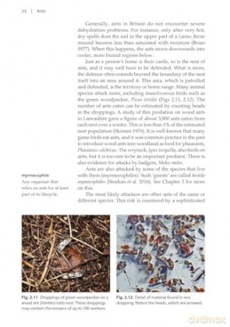 Ants (Naturalists' Handbooks 24) - Gary J. Skinner [KSIĄŻKA]