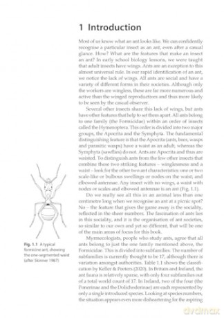 Ants (Naturalists' Handbooks 24) - Gary J. Skinner [KSIĄŻKA]