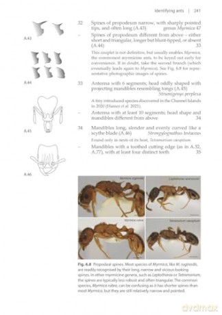 Ants (Naturalists' Handbooks 24) - Gary J. Skinner [KSIĄŻKA]