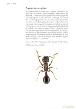 Ants (Naturalists' Handbooks 24) - Gary J. Skinner [KSIĄŻKA]