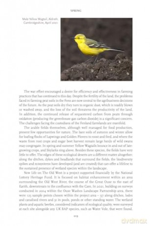 Fenland Nature - Simon Stirrup [KSIĄŻKA]