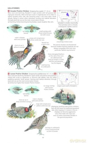Field Guide to the Birds of North America (Pelagic Identification Guides) - Miles McMullan [KSIĄŻKA]