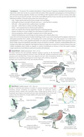 Field Guide to the Birds of North America (Pelagic Identification Guides) - Miles McMullan [KSIĄŻKA]