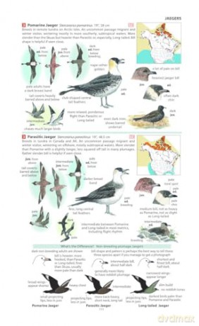 Field Guide to the Birds of North America (Pelagic Identification Guides) - Miles McMullan [KSIĄŻKA]