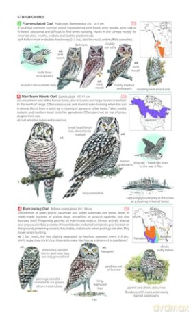 Field Guide to the Birds of North America (Pelagic Identification Guides) - Miles McMullan [KSIĄŻKA]