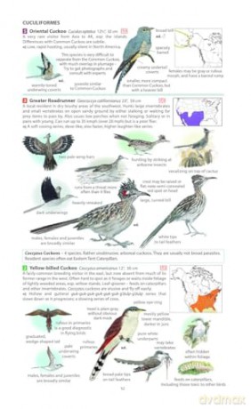 Field Guide to the Birds of North America (Pelagic Identification Guides) - Miles McMullan [KSIĄŻKA]
