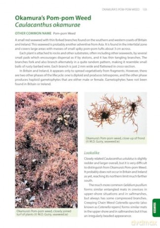 Identification Guide to the Non-Native Invasive Plants of Britain and Ireland (Pelagic Identification Guides) - Fran Giaquinto [KSIĄŻKA]