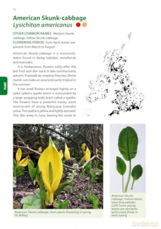 Identification Guide to the Non-Native Invasive Plants of Britain and Ireland (Pelagic Identification Guides) - Fran Giaquinto [KSIĄŻKA]