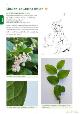 Identification Guide to the Non-Native Invasive Plants of Britain and Ireland (Pelagic Identification Guides) - Fran Giaquinto [KSIĄŻKA]