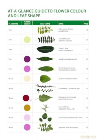 Identification Guide to the Non-Native Invasive Plants of Britain and Ireland (Pelagic Identification Guides) - Fran Giaquinto [KSIĄŻKA]