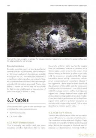 Night Vision and Daylight Camera Systems for Wildlife: A Practical Guide (Data in the Wild) - Susan Young [KSIĄŻKA]