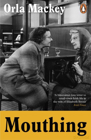 Mouthing: The bestselling Irish debut novel of the summer - Orla Mackey [KSIĄŻKA]
