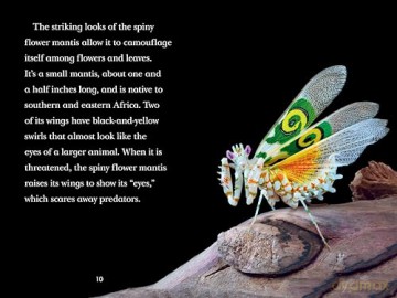 TIME for Kids: Insects - Jevon Bolden [KSIĄŻKA]