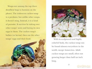 TIME for Kids: Insects - Jevon Bolden [KSIĄŻKA]