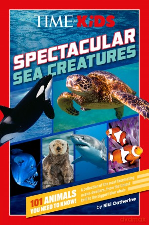 TIME for Kids: Spectacular Sea Creatures: 101 Animals You Need to Know! - Niki Catherine [KSIĄŻKA]