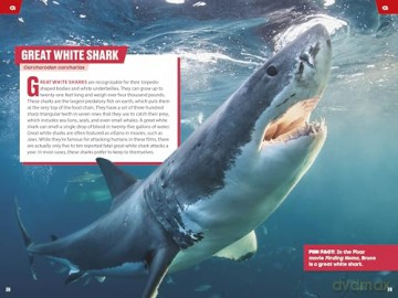 TIME for Kids: Spectacular Sea Creatures: 101 Animals You Need to Know! - Niki Catherine [KSIĄŻKA]