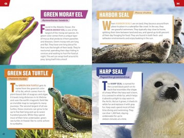 TIME for Kids: Spectacular Sea Creatures: 101 Animals You Need to Know! - Niki Catherine [KSIĄŻKA]