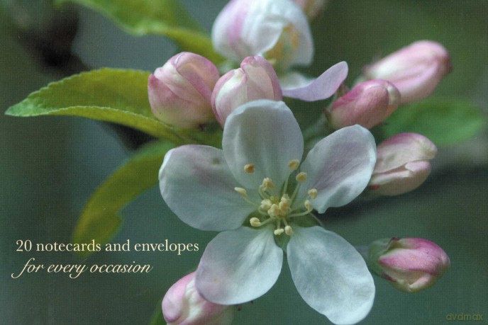 Notecards and Envelopes: Apple Blossom - a delightful pack of flower gift cards and decorative envelopes (cards, stationery) - n/a [KSIĄŻKA]