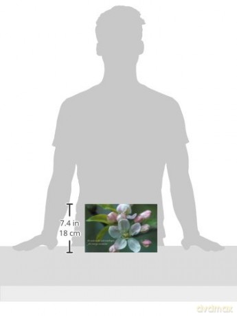 Notecards and Envelopes: Apple Blossom - a delightful pack of flower gift cards and decorative envelopes (cards, stationery) - n/a [KSIĄŻKA]