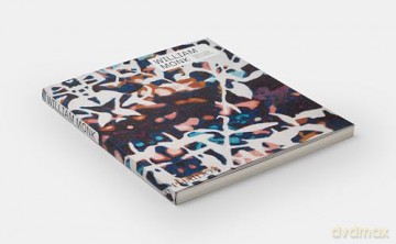 William Monk (Phaidon Contemporary Artists Series) - Isabelle Graw [KSIĄŻKA]