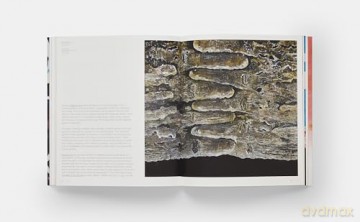 William Monk (Phaidon Contemporary Artists Series) - Isabelle Graw [KSIĄŻKA]