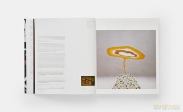William Monk (Phaidon Contemporary Artists Series) - Isabelle Graw [KSIĄŻKA]