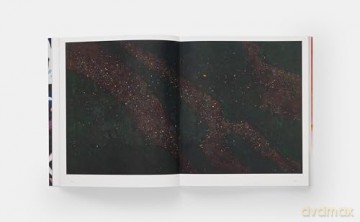 William Monk (Phaidon Contemporary Artists Series) - Isabelle Graw [KSIĄŻKA]