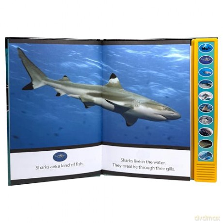 National Geographic Kids: Sharks I'm Ready to Read Sound Book - PI Kids [KSIĄŻKA]