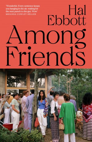 Among Friends: Perfect lives hide terrible secrets - Hal Ebbott [KSIĄŻKA]