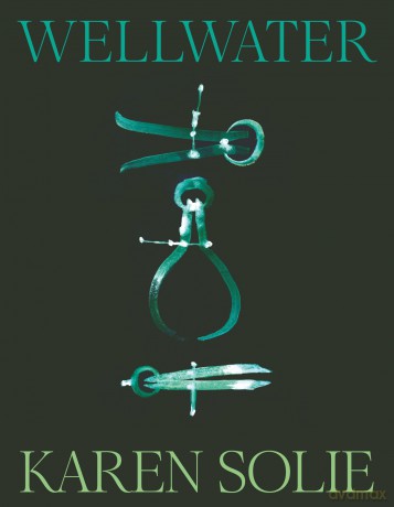 Wellwater: Shortlisted for the Forward Prize for Best Collection - Karen Solie [KSIĄŻKA]