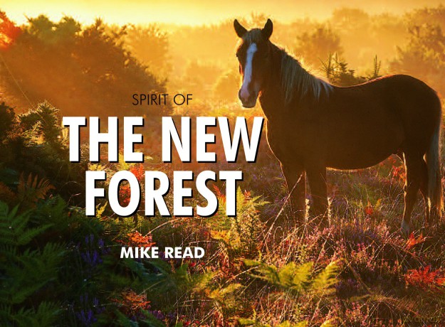Spirit of the New Forest - Mike Read [KSIĄŻKA]
