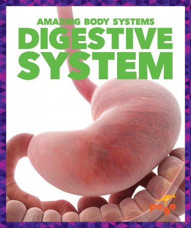 Digestive System (Amazing Body Systems) - Karen Latchana Kenney [KSIĄŻKA]