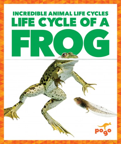 Life Cycle of a Frog (Incredible Animal Life Cycles) - Karen Latchana Kenney [KSIĄŻKA]