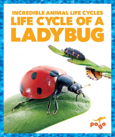 Life Cycle of a Ladybug (Incredible Animal Life Cycles) - Karen Latchana Kenney [KSIĄŻKA]
