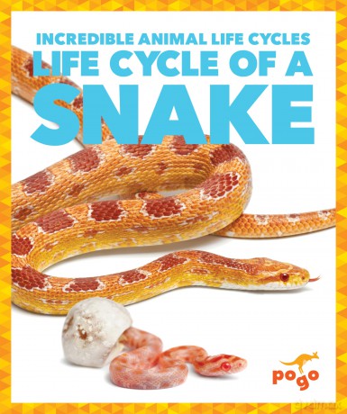 Life Cycle of a Snake (Incredible Animal Life Cycles) - Karen Latchana Kenney [KSIĄŻKA]