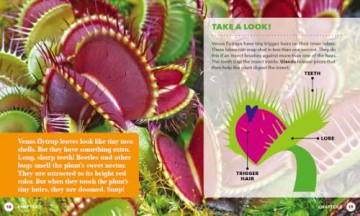 Meat-Eating Plants (Plant Power) - Mari Schuh [KSIĄŻKA]