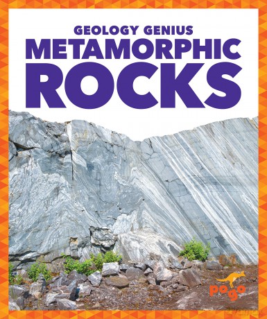 Metamorphic Rocks (Geology Genius) - Rebecca Pettiford [KSIĄŻKA]