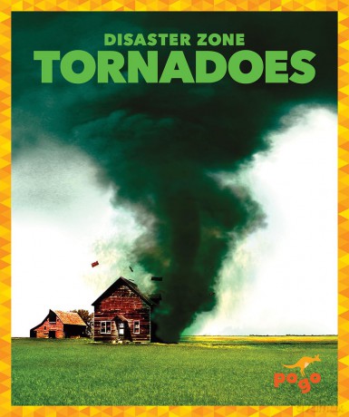 Tornadoes (Disaster Zone) - Cari Meister [KSIĄŻKA]