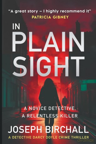 In Plain Sight: A Dark and Atmospheric Irish Murder Mystery That Will Keep You Guessing - Joseph Birchall [KSIĄŻKA]