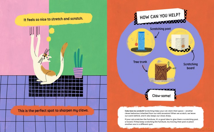 Please Look After This Cat: A Guide to Taking Care of Me (Please Look After This Pet) - Kasia Antczak [KSIĄŻKA]