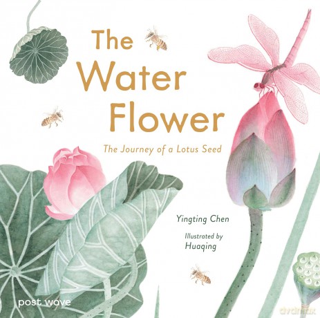The Water Flower: The Journey of a Lotus Seed - Yingting Chen [KSIĄŻKA]