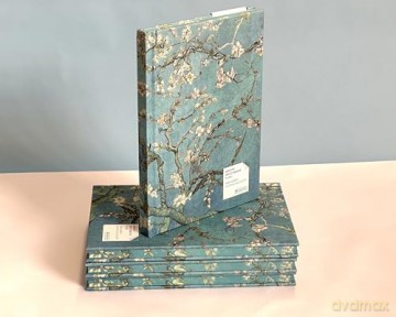 Almond Blossom Van Gogh: Artists Sketchbook - Anon [KSIĄŻKA]