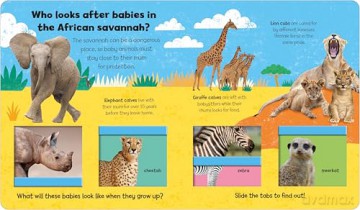 Baby Animals (Little Kids, Big Questions) - Roger Priddy [KSIĄŻKA]