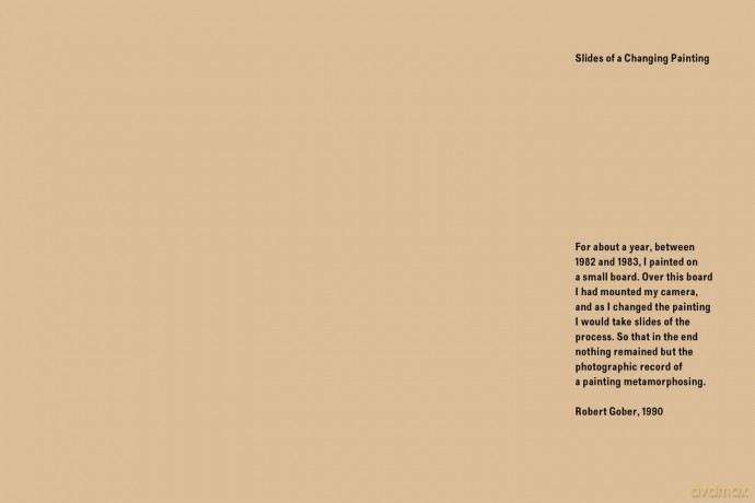 Robert Gober: Slides of a Changing Painting - Robert Gober [KSIĄŻKA]