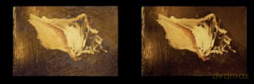 Robert Gober: Slides of a Changing Painting - Robert Gober [KSIĄŻKA]
