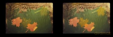 Robert Gober: Slides of a Changing Painting - Robert Gober [KSIĄŻKA]